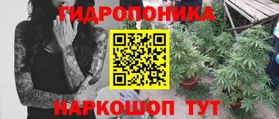 наркотики Новозыбков