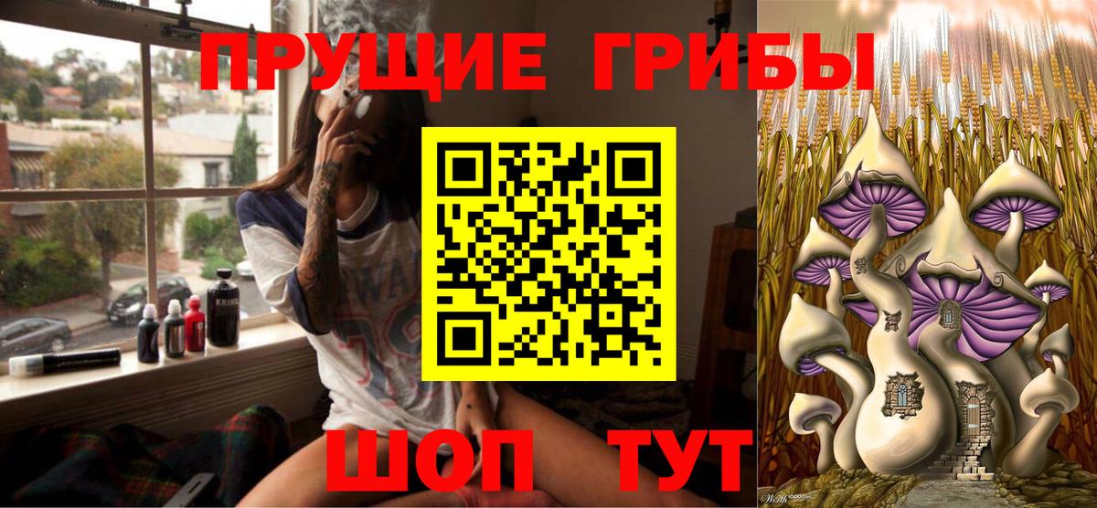 Сыктывкар  Галлюциногенные грибы мицелий  Вход с VPN 