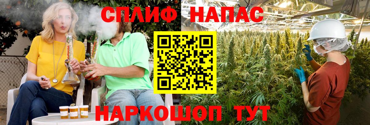 Сыктывкар  Бошки Шишки SATIVA & INDICA  Вход с VPN  МАРИХУАНА планчик 